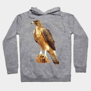 Snake-Eagle - Bird - Eagle in Africa Hoodie